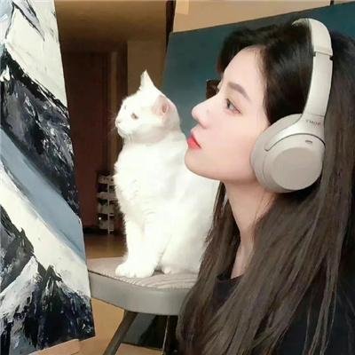 精灵小王子
